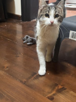 /album/89/whatsapp-image-2026-04-28-at-18-50-19-2-jpeg/